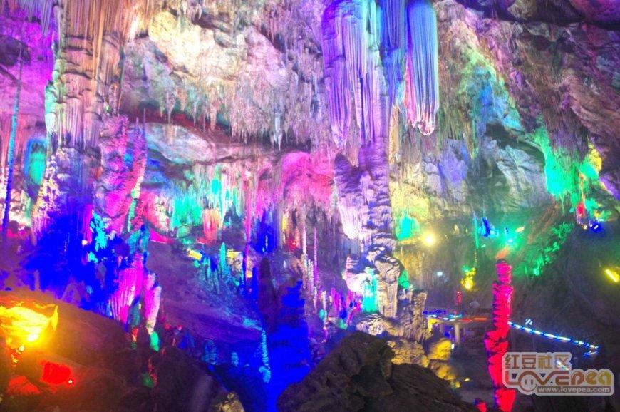 【新春走基层】草莓映红致富路