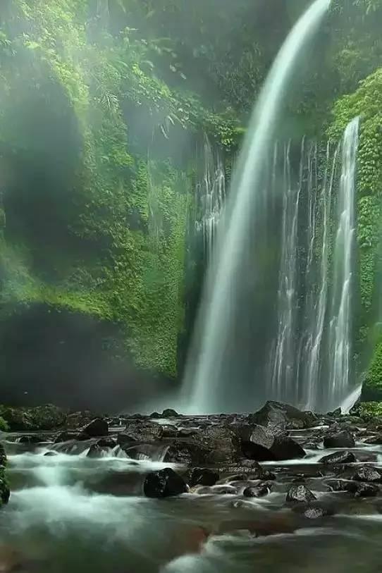 可爱猪救援2