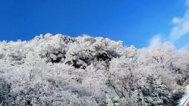 久立特材接受雪球资管等机构调研