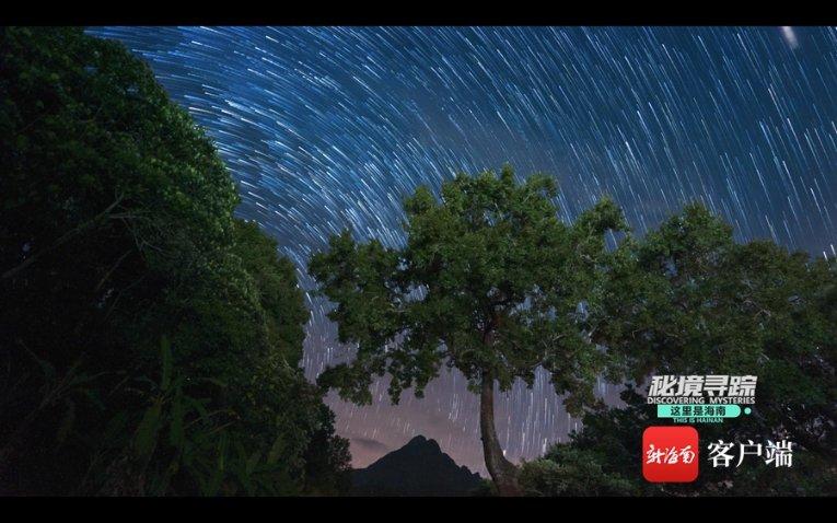矿工打地鼠