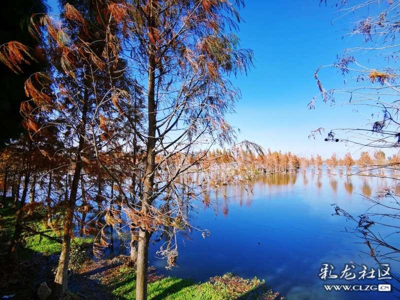 火车上可以改签么游戏画面