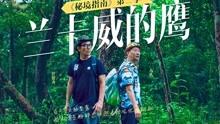 救援金发公主