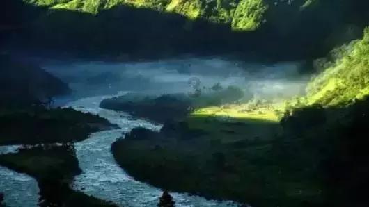 小猫钓鱼正版下载中文版