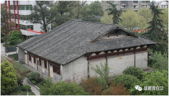 向上跳的香蕉