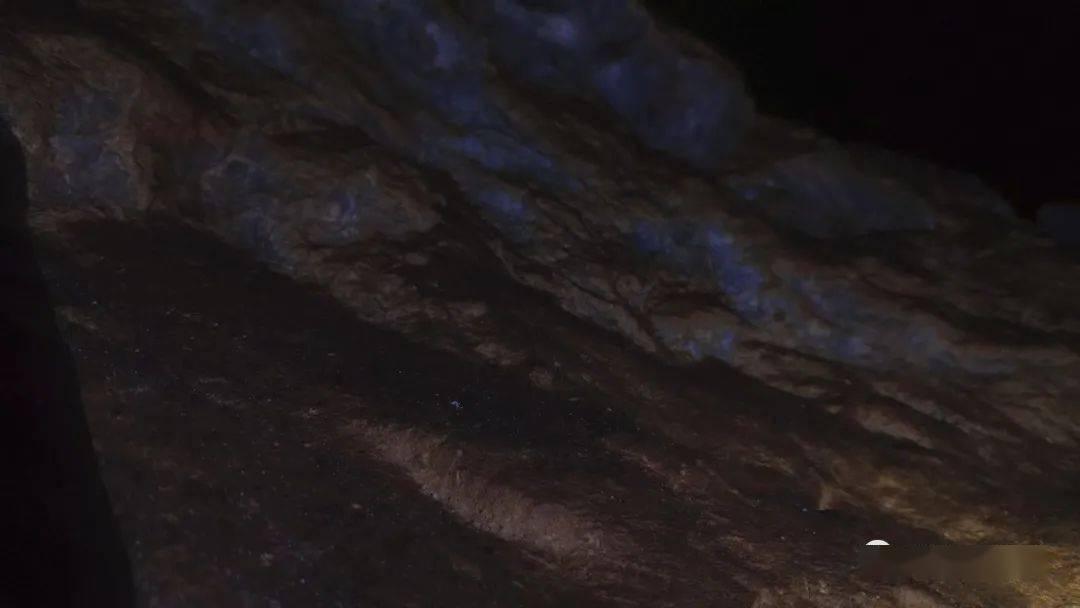 了解2022世界杯赛程表,加入知识星球社区