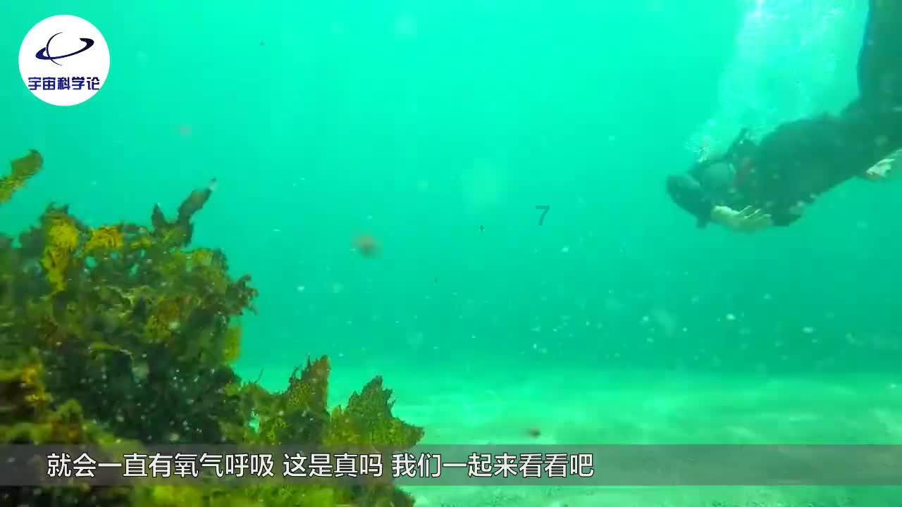 泰亚史诗