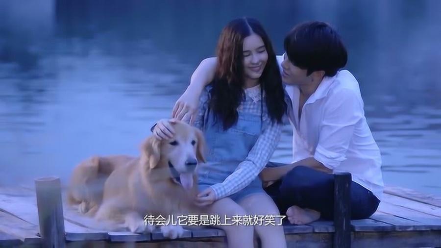 小猫钓鱼正版下载中文版