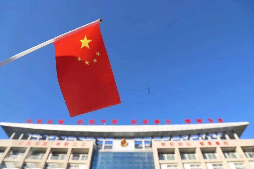 特种突击聪明的顺溜
