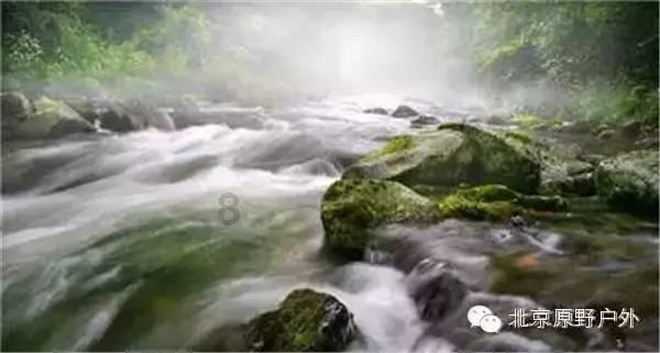 《幻兽帕鲁》世界设定设置方法