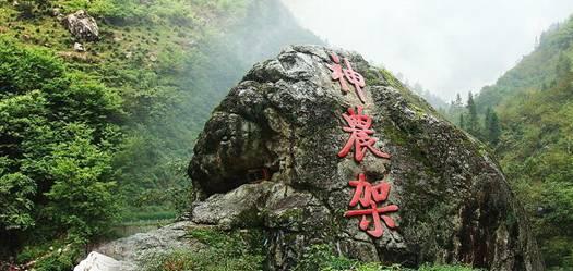 猪场怼怼乐
