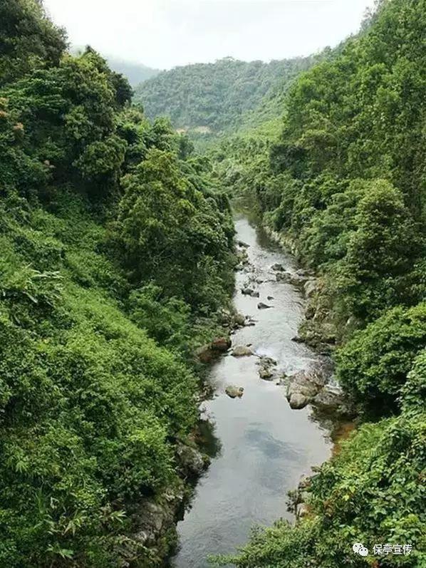 太平军原本可以推翻满清，却因为无名老水手的一句话，失去了机会