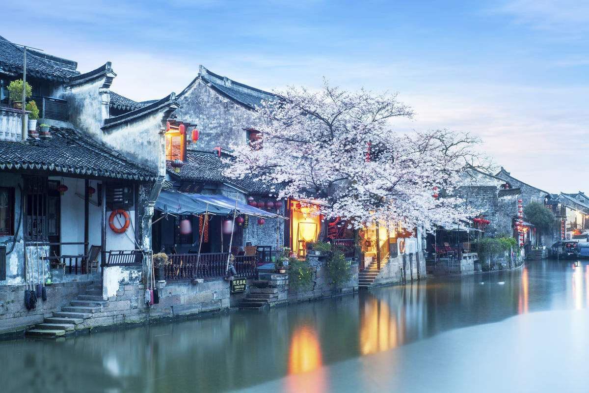 芭比的电影灵感