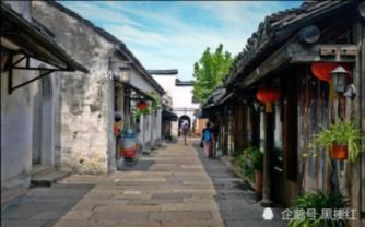 东城区：让“汪星人”乖巧懂礼 “文明养犬在行动”主题活动手把手教您