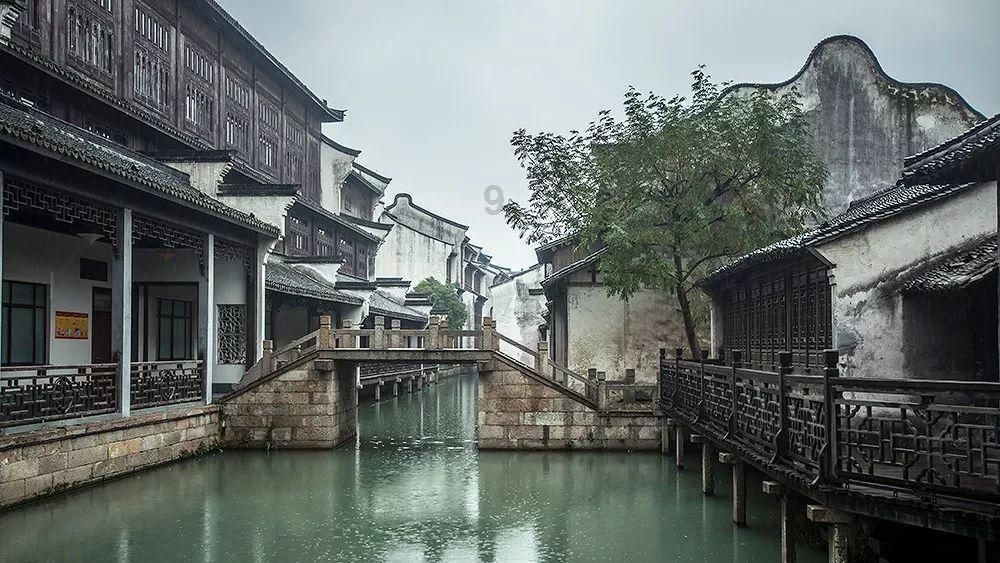 动物帮帮忙保卫家园