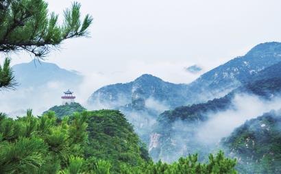 万物皆可生腌？吃生腌的时候该注意些什么？游戏画面