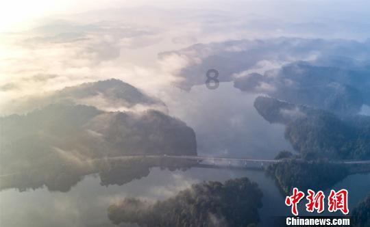 公主的阅读区